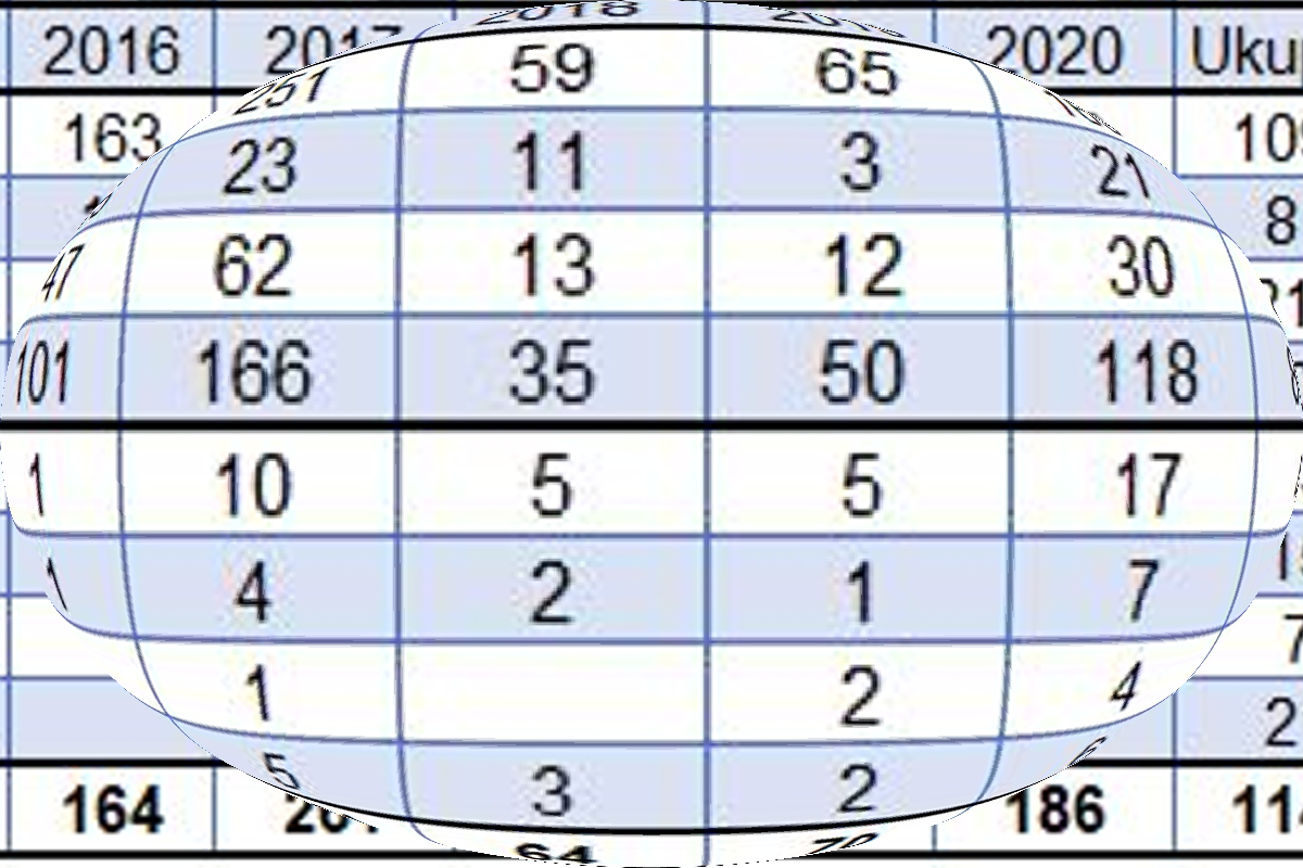 Statistički pokazatelji osoba kojima je odobrena međunarodna zaštita u Republici Hrvatskoj