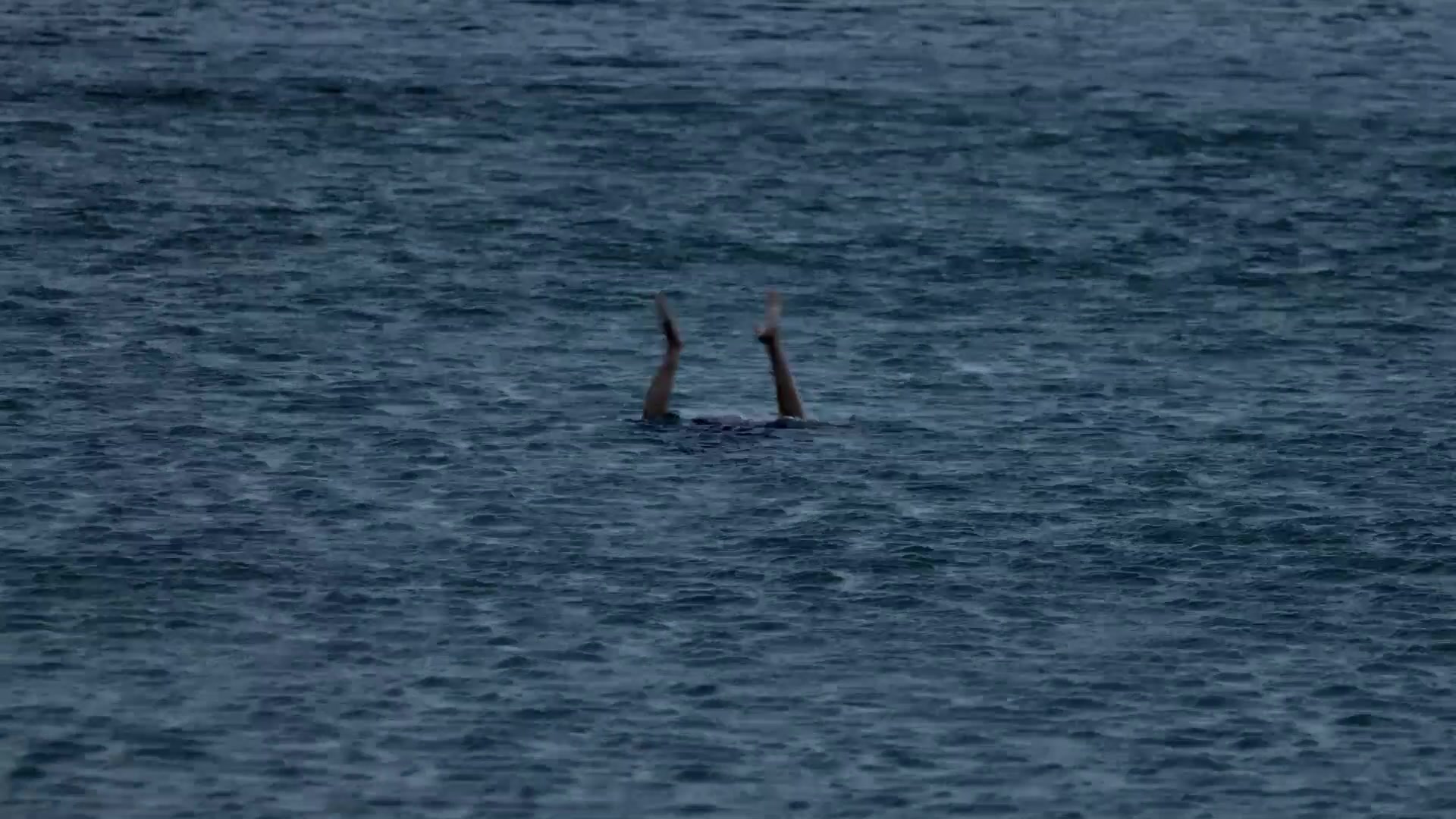 O integraciji i umjetnosti.